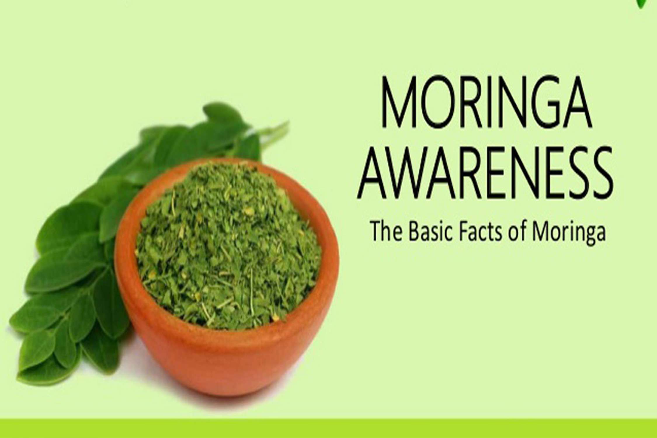 Benefits of Moringa